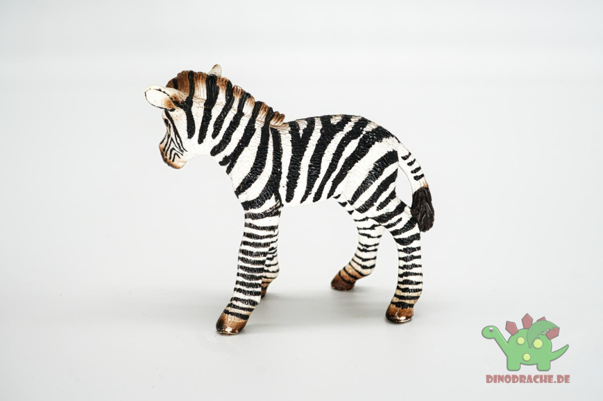 Schleich Zebra Fohlen 14393